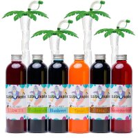 Slush Sirup Partyset 6 Sorten 250 ml + 4 grüne...