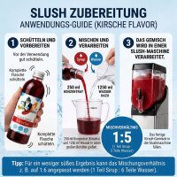 Slush Sirup Partyset 6 Sorten 250 ml + 4 grüne Palmen 1:5 AZO frei ohne Glyzerin
