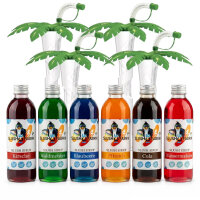 Slush Sirup Partyset 6 Sorten 250 ml + 4 grüne Palmen 1:5 AZO frei ohne Glyzerin