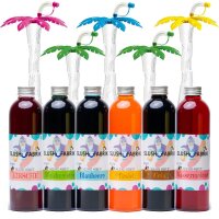 Slush Sirup Partyset 6 Sorten 250 ml + 5 bunte Palmen 1:5...