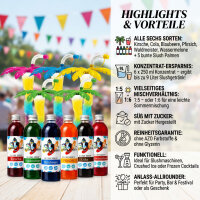 Slush Sirup Partyset 6 Sorten 250 ml + 5 bunte Palmen 1:5...