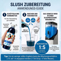 Slush Sirup Partyset 6 Sorten 250 ml + 5 bunte Palmen 1:5 AZO frei ohne Glyzerin