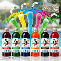 Slush Sirup Partyset 6 Sorten 250 ml + 5 bunte Palmen 1:5 AZO frei ohne Glyzerin