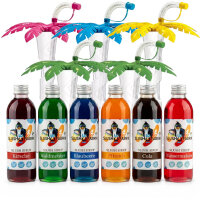 Slush Sirup Partyset 6 Sorten 250 ml + 5 bunte Palmen 1:5 AZO frei ohne Glyzerin