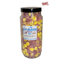 Himbeer-Vanille Handgemachte Himbeerform Bonbons 600 g Dose – Fruchtige Himbeere trifft auf cremige Vanille