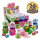 Display Komplett 20x Cutie Katty Licker Lollipop & Pulver