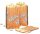 Warmhalte Popcornbeutel 10,5 x 6 x 20,5 cm 75 g / 1,3 Liter 100 Stk klassisches Popcorn Motiv recylcebar