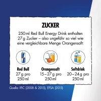 Red Bull Energy Drink Ice Edition Iced Vanilla Berry 250 ml