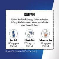 Red Bull Energy Drink Ice Edition Iced Vanilla Berry 250 ml
