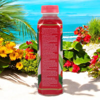 OKF Aloe Vera King Litschi 500 ml – Exotik in der Flasche!