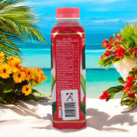 OKF Aloe Vera King Litschi 500 ml – Exotik in der Flasche!