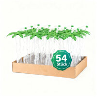 Karton Slush Cups Palmen Design 54 Stück 400 ml Mehrweg Slush Becher mit Strohhalm BPA frei