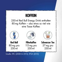 Red Bull Winter Edition – Fuji Apfel & Ingwer Sugarfree 250 ml Limited Edition