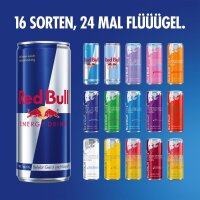 Red Bull Adventskalender 2025 – 24 x 250 ml Energy...