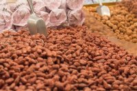 Hopser Funfood Gebrannte Zimt-Mandeln 10kg –...