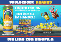 Paulberger Ananas 0,33 l – Kalorienarmes Erfrischungsgetränk | Fruchtig & Erfrischend | 1 Dose