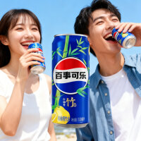 Bundle 12 er Pepsi Bamboo Pomelo China 0,33 l Dose 12er