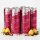 Red Bull 6 er Bundle The Ruby Edition Birne Zimt Spiced Pear UK-Import