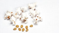 Gourmet White Popcorn 1 kg aus den USA zarter Popcornmais Puffmais Knallmais