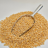 Aluminiumschaufel 375 ml 29 cm mit Laffe – Abfüllschaufel für Lebensmittel