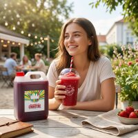 Rainbow Slush Sirup Erdbeer Geschmack 5L 1:5 AZO & glyzerinfrei