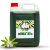 Rainbow Slush Sirup 5L AZO FREI | Waldmeister  | Konzentrat für Slushy Maker Eis Slushmaschinen Eismaschinen Getränke 1:5