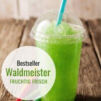 Slush Sirup Partyset 6 Sorten 250ml 1:5 AZO frei ohne Glyzerin Konzentrat