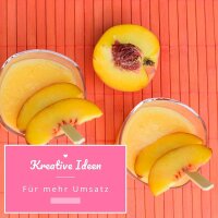 Slush Sirup Partyset 6 Sorten 250ml 1:5 AZO frei ohne Glyzerin Konzentrat