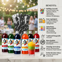 Slush Sirup Partyset 6 Sorten 250ml + 125...
