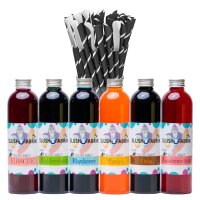 Slush Sirup Partyset 6 Sorten 250ml + 125...