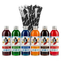 Slush Sirup Partyset 6 Sorten 250ml + 125 Löffelhalme 1:5 AZO frei ohne Glyzerin