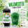 Rainbow Slush Sirup Waldmeister Geschmack 1L 1:5 AZO & glyzerinfrei