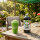 Rainbow Slush Sirup Apfel Geschmack 1L 1:5 AZO & glyzerinfrei