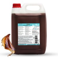 Ice Bär Slush Sirup Cola 5L 1:5 AZO frei ohne...