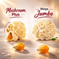 MEGA Jumbo Popcornmais 22,68 kg